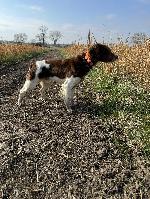 IMG_0618.JPEG