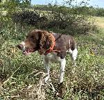 IMG_1694.JPEG