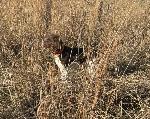 IMG_2059.JPEG