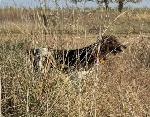 IMG_1885.JPEG