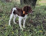 IMG_1696.JPEG