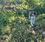 IMG_0918.JPEG
