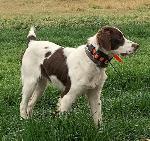 IMG_4139 (2).jpg