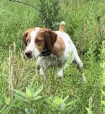 IMG_8397.jpeg