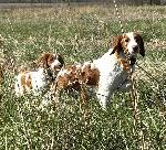 IMG_2611.JPEG