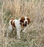IMG_2533.JPEG