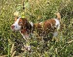 IMG_3567.JPEG