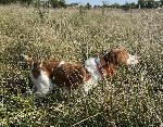 IMG_3703.JPEG