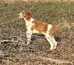 EMBER AND KATE SUMMER 2026