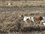 IMG_5035.JPEG