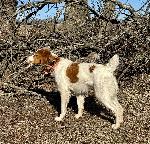 IMG_5200.JPEG