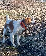 IMG_5208.JPEG
