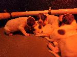 20260508_203557.jpg