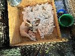 IMG_2799.jpeg