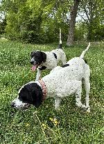 IMG_2582.jpeg
