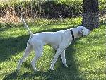 IMG_2097.jpeg