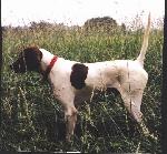 IMG_1966.jpeg