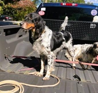 Maggie Jack2Edit.jpg