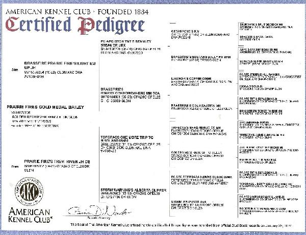 Bailey Pedigree.jpg