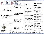 Bailey Pedigree.jpg