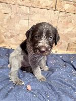 F2-hot pink-2-1-26.jpg