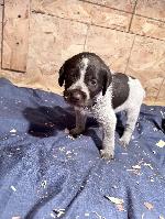 F3-lt pink-2-1-26.jpg