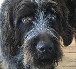 Walker Face Croped 2.jpg