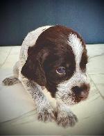 #3 MALE (SKY BLUE).JPG