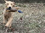 IMG_6811.jpeg