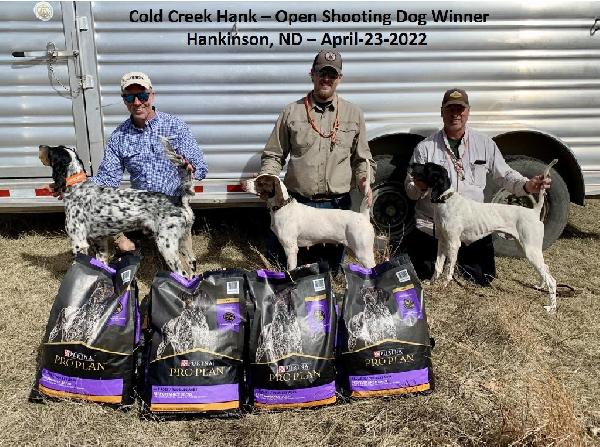 HANK - OPEN SHOOTING DOG WINNER - NWFA - APRI