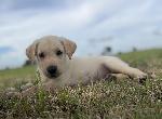 IMG_8652.JPEG