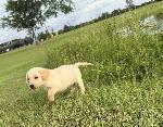IMG_8674.JPEG