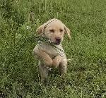 IMG_8614.JPEG