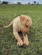 IMG_8601.JPEG