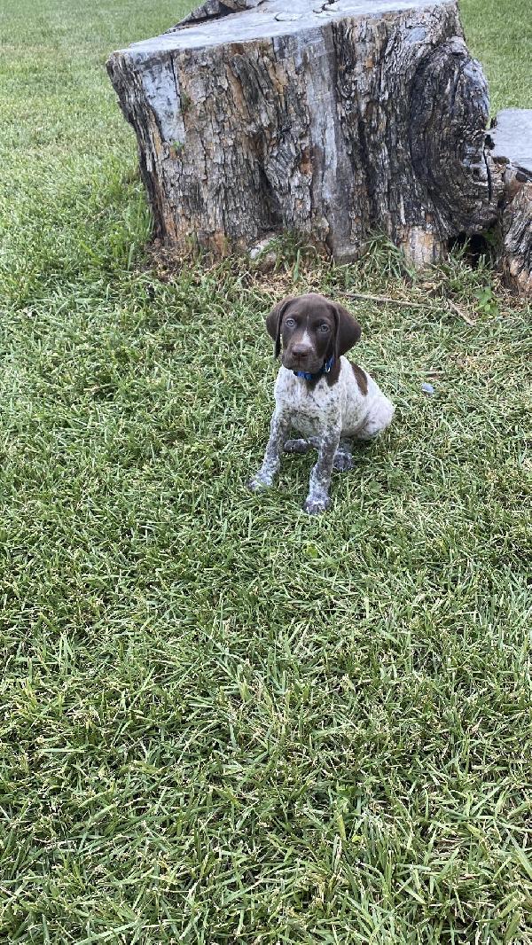 FINLEY