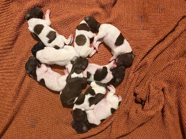 614844890_1730364798252086_548360720989025202