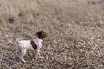 DSC05206.jpg