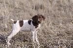 DSC05177.jpg