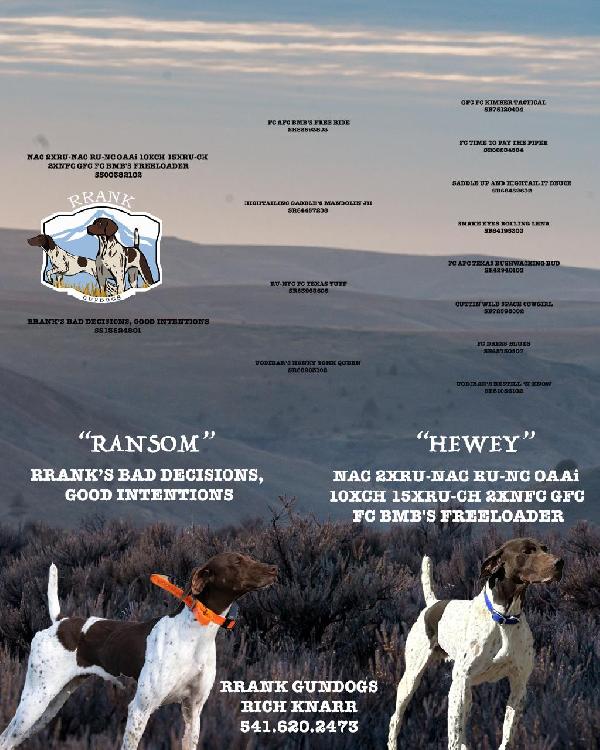 HEWEYRANSOMLITTERPOSTER.png