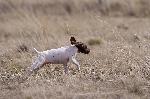 DSC05079.jpg