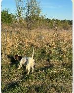 IMG_2083.jpeg