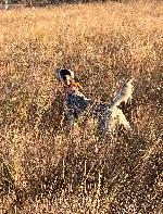 IMG_2079.jpeg