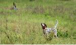 IMG_2080.jpeg