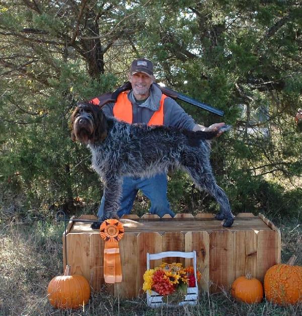 AKC MASTER HUNTER SIRE: VC CH FLATBROOKS WALK