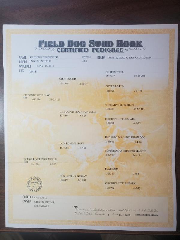 SNYDERS FIRESIDE ED - SIRE - PEDIGREE