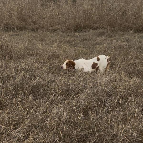 Screenshot 2025-02-11 at 5.47.33â€¯PM.png