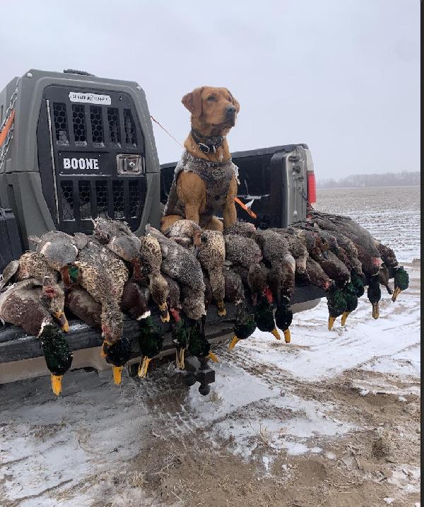 Screenshot 2024-12-20 at 3.06.18â€¯AM.png