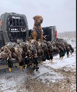 Screenshot 2024-12-20 at 3.06.18â€¯AM.png