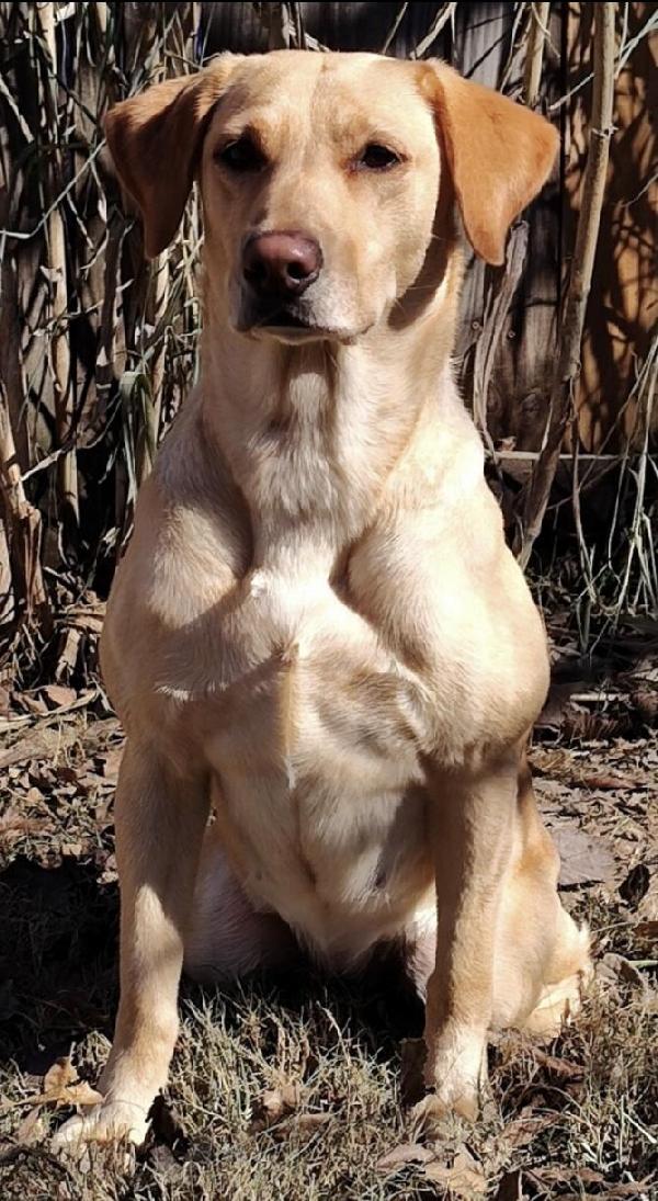 Screenshot 2024-12-20 at 3.06.55â€¯AM.png