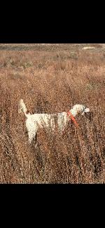 WEST OAKS LUCY